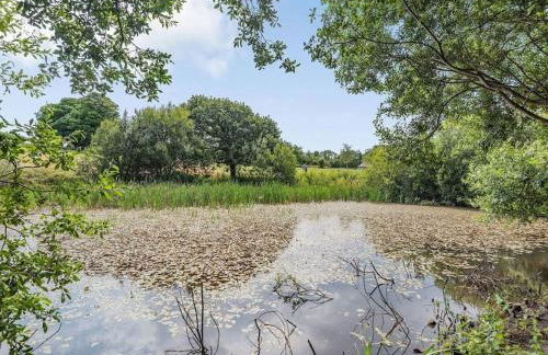 Horseshoe Cottage historic gem near Snowdonia. - Photo 20