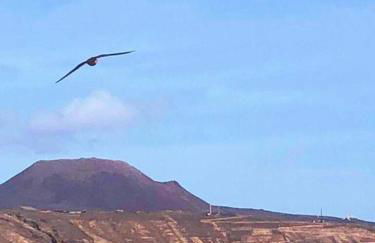 Playa Marina Eco Beach Villa - Foto 16