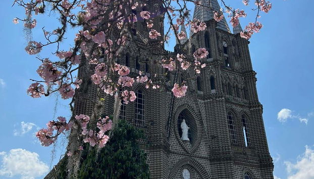 Jardín 4x4 Tour - Foto 3