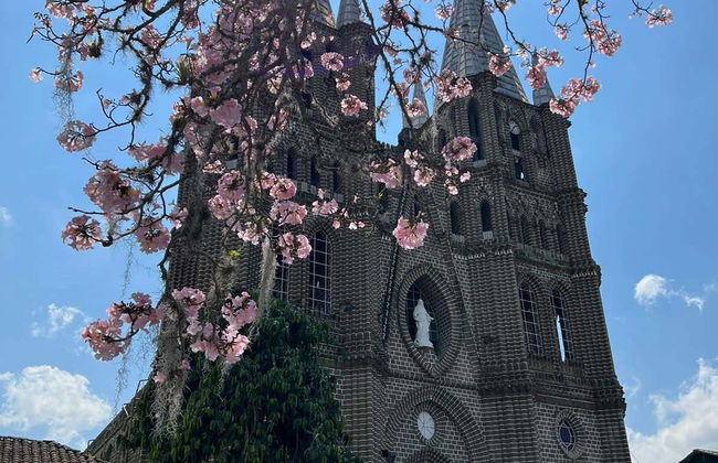 Tour de 4x4 por Jardín - Foto 2