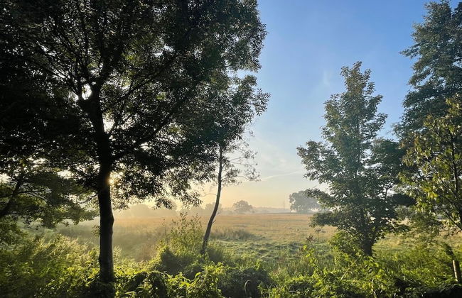 West Lexham - Photo 28