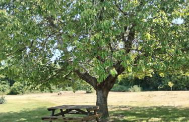 Domaine des Cerisiers - Accès direct piste cyclable reliant Honfleur - Parking privé - Grand jardin - Foto 26