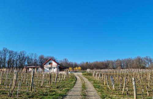 Kuća za odmor Baron - Foto 41