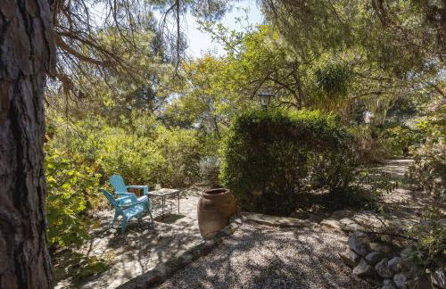 La Golondrina - Foto 26