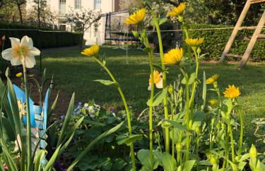 Ferienhaus Plan B. Wittlich - Foto 6