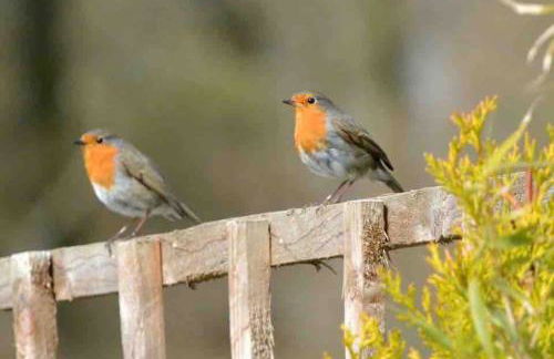 The Den - your cosy sleepover space - Photo 27