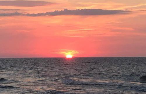 Morski Las - Foto 26