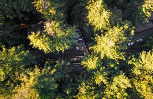 Window to the Redwoods - Near Downtown MV, Dipsea Trail, & Muir Woods - Foto 23