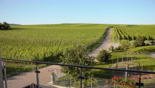 Gästehaus Casa Luna - Paradiesische Ferienwohnungen am Kaiserstuhl! - Foto 4