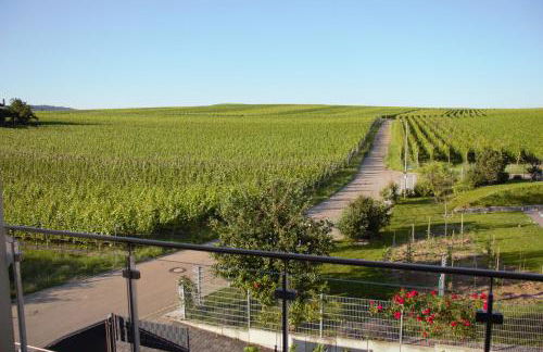 Gästehaus Casa Luna - Paradiesische Ferienwohnungen am Kaiserstuhl! - Foto 4