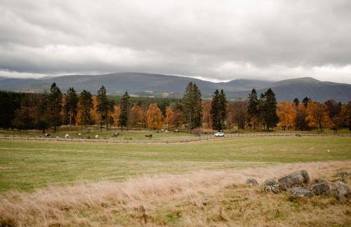 Garradh Cottage - Seasgair Lodges - Foto 10