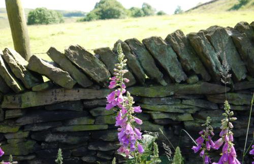 Room with a View - Foto 29