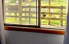 João-de-barro - Foto 6