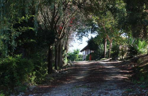 Apartamentos Garden Rock - Foto 54