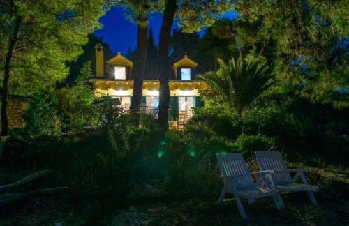 Deluxe Villa Sirena on the beach with Pool - Photo 47