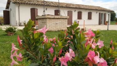 AGRITURISMO " LE SERRE" - Foto 1, Garden