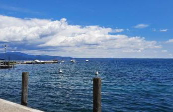 Elisa Holidays Apartments - Foto 11