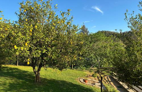 Casa Casal de Can - Foto 15