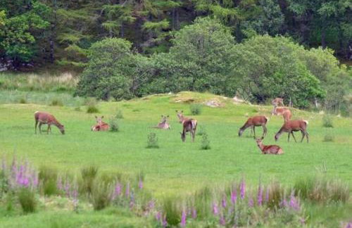 Achaglachgach Stables - Foto 36
