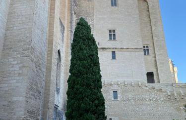 Le Patio du Mûrier - Foto 26
