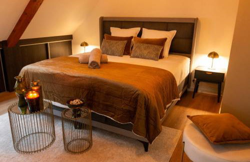 LES GRANGES DE JADIS ALSACE Bis - Foto 74