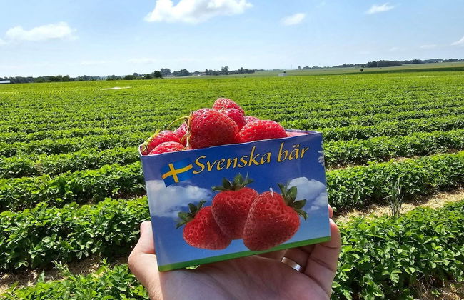 4 Star Holiday Home in Hollviken - Foto 8