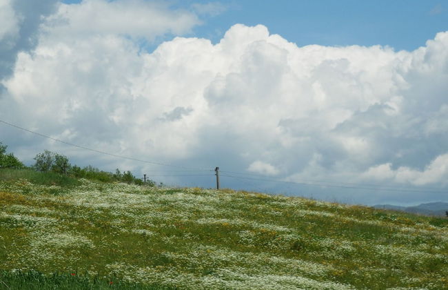 Charming Tuscan Farmhouse - Foto 35