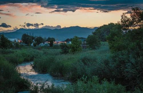 PingPong-YardGames-NewKitchen - Foto 11