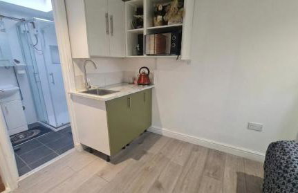 1 Bedroom studio - Photo 5