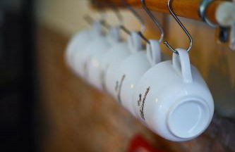 biodelfico, Policoro, Matera, Montalbano, mare - Photo 24