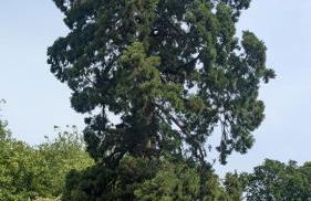 Luxury Shepherds Hut on Powis House Estate - Foto 26