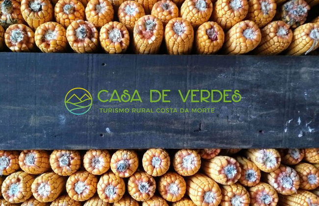 Casa de Verdes - In Cabana de Bergantinos - Photo 151