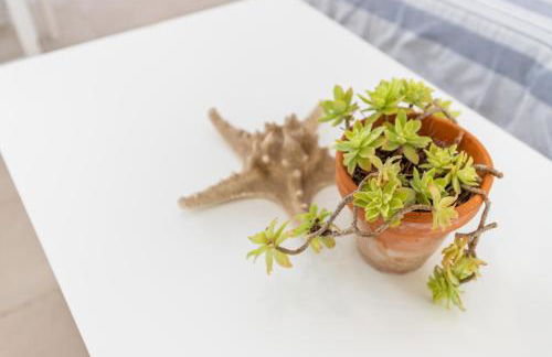 Mini Suite La Siesta Cala del Portet - Foto 28