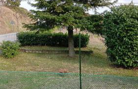 Beautiful private house among the Moscato vineyards - Foto 11