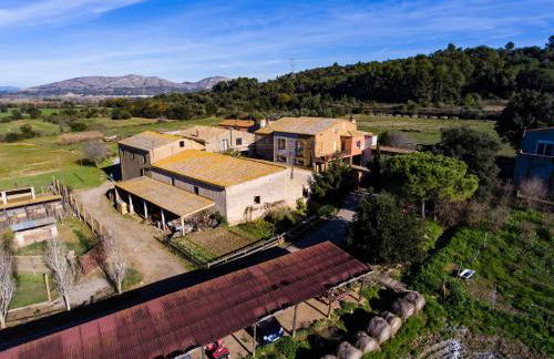 Can Barnosell - Els Masos d'en Coll - Foto 87