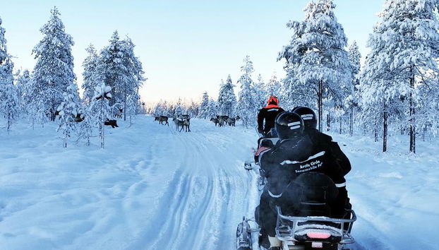 Découvrez une Safari en Motoneige de 3 Heures en Laponie (70 km) - Photo 2