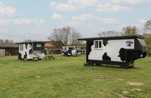 Carabelle Cow Shed 7 - Foto 1