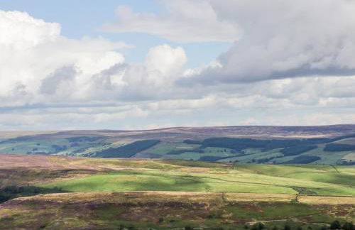 Old Stone Cottage - Foto 29