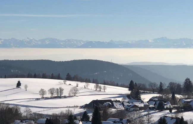 Ferienwohnung im Schwarzwald mit Garten - Foto 32