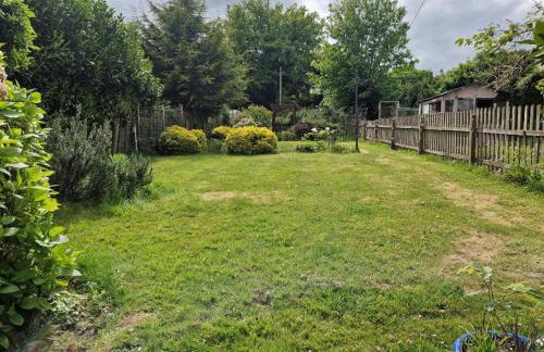 The Hazels - Foto 12