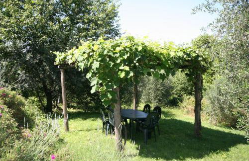 Podere il Pino - Foto 30