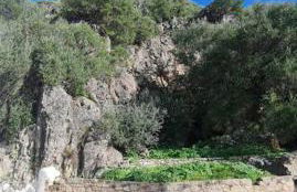 Entre Vistas - Foto 53