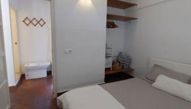 Ave Ibis eremita Vejer - Foto 5