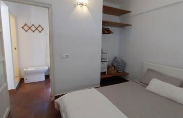 Ave Ibis eremita Vejer - Foto 5