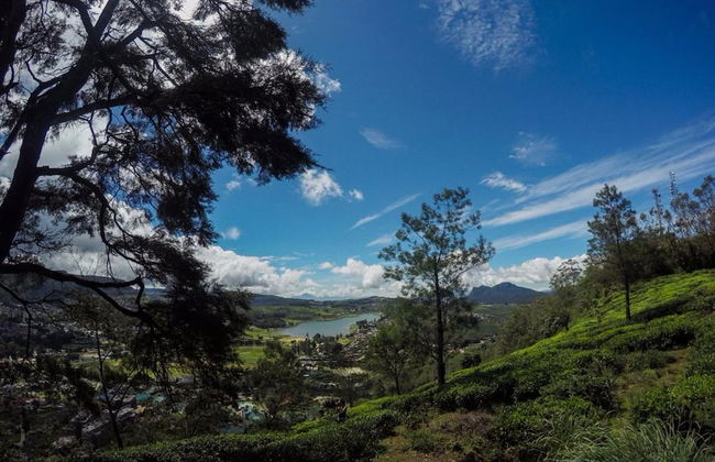 Hillsborough Cottage Nuwara Eliya - Photo 29