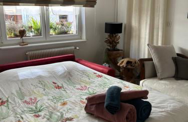 Gites des capucins centre ville Sélestat - Foto 9