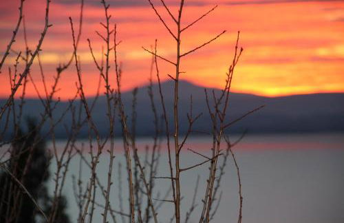 Genius Apartments - Foto 31