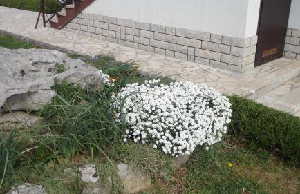 Apartment Fabris - Foto 33