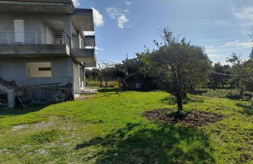 Thanos Studio - Foto 1