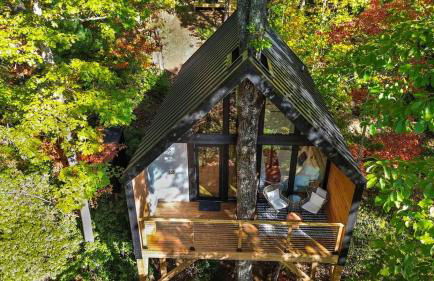 Private Modern Treehouse Retreat in the Forest - Foto 23